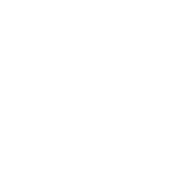 Alpha Intelligence Capital